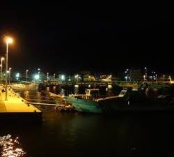 秋イカ釣れました！