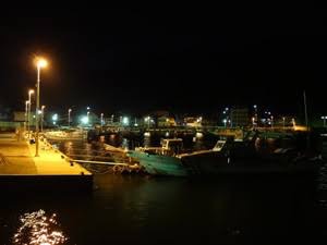 秋イカ釣れました！