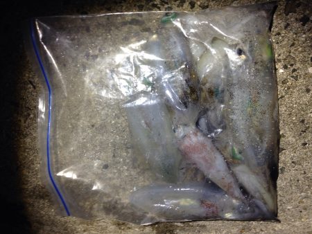 週末アングラー