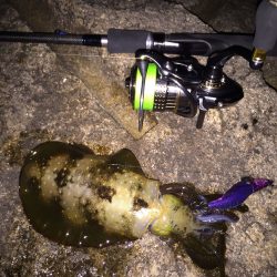 サイズアップ‼️