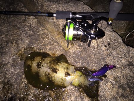 サイズアップ‼️