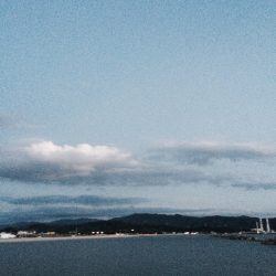 強風の中、アオリイカ！