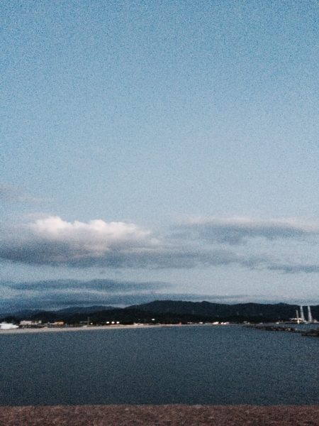 強風の中、アオリイカ！