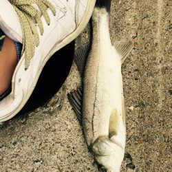 師匠に教えられて？