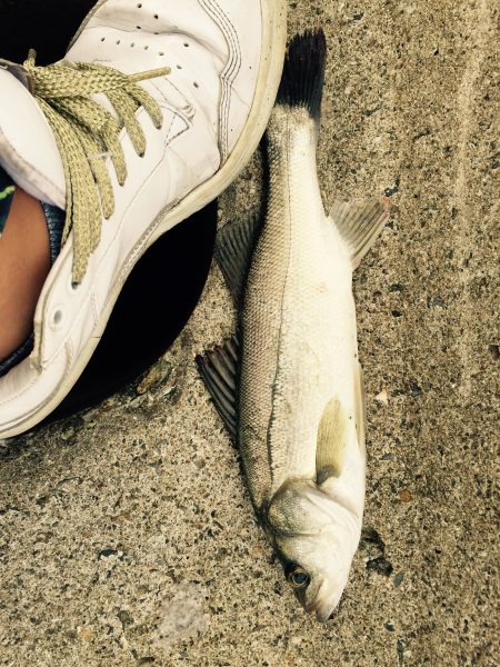 師匠に教えられて？