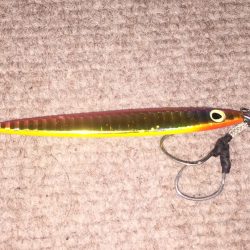 昼から釣行へ出陣‼︎