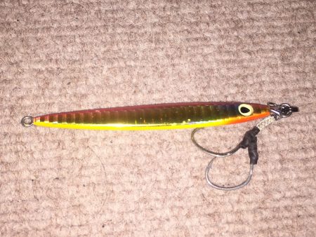 昼から釣行へ出陣‼︎