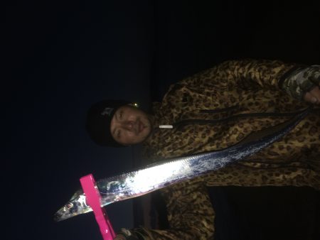 青物に会いたくて！