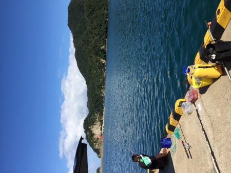 サビキにきたのに