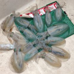 師匠とエギング