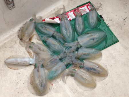 師匠とエギング