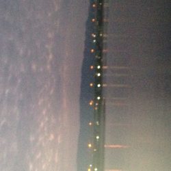 タチウオワインド