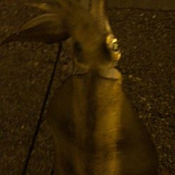 人多いなぁ〜。からの