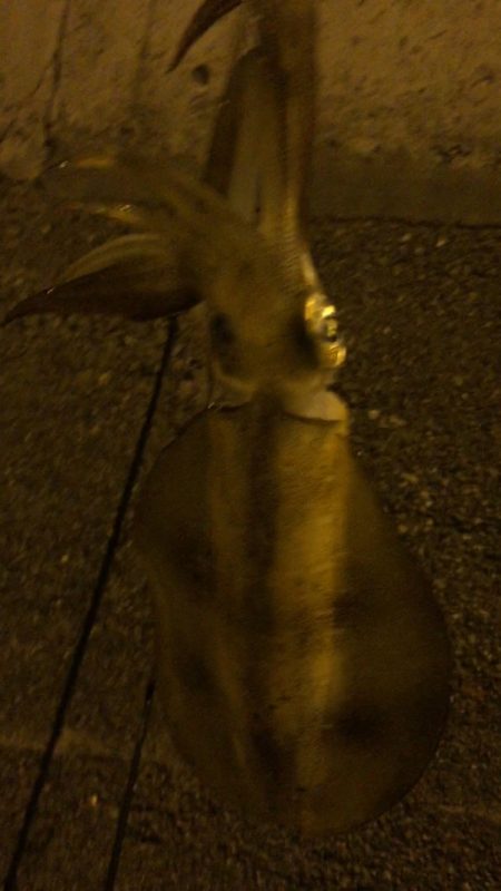 人多いなぁ〜。からの