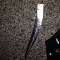 散歩がてら小野浜にワインド