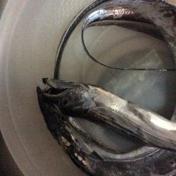 佐野川から食品コンビナート