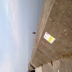 淡路島短時間ショアジギング