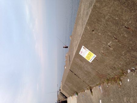 淡路島短時間ショアジギング