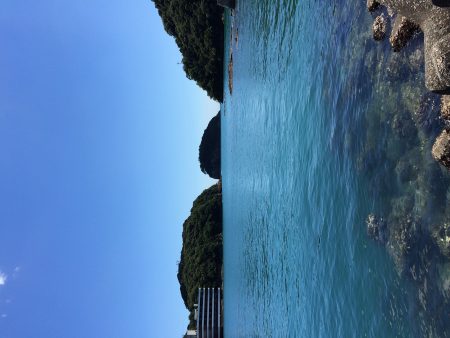 メタルマルゲーム