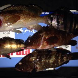 連休最終日はのんびり浮き釣り