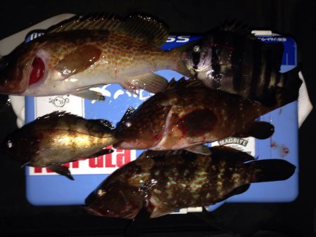 連休最終日はのんびり浮き釣り