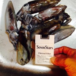 まだまだ新子サイズ