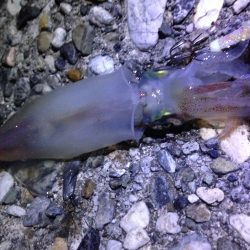 無人ポイントで耐久戦！