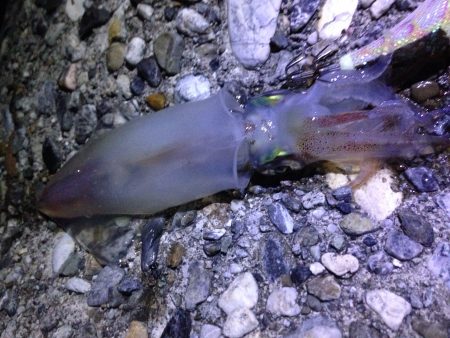 無人ポイントで耐久戦！