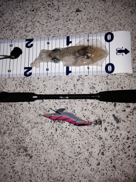 新子調査 in二見