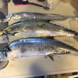 7時のジアイにて