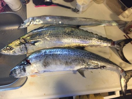 7時のジアイにて