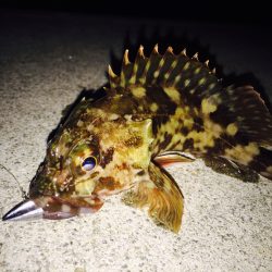 いやぁ〜まいった‼︎