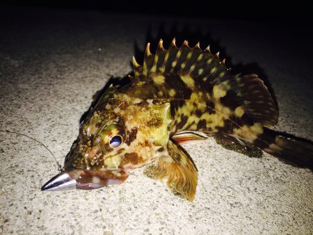 いやぁ〜まいった‼︎