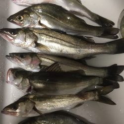 サイズダウンでボッコボコ