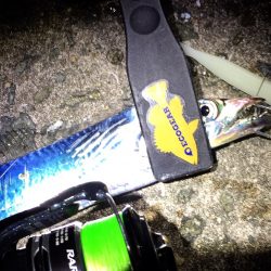 初☆ワインド！