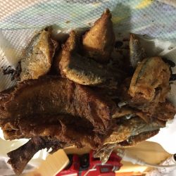 アジ、イワシ、サヨリ、カワハギ、ベラ