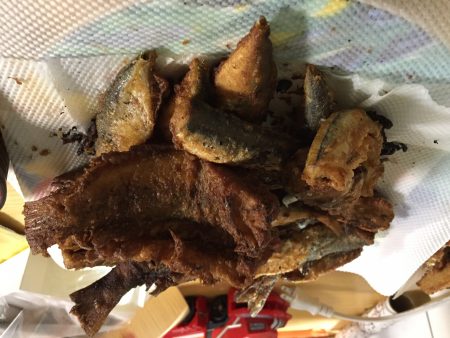 アジ、イワシ、サヨリ、カワハギ、ベラ