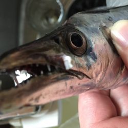 スーパームーン