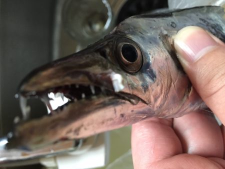 スーパームーン