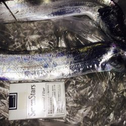 太刀魚釣れたー！