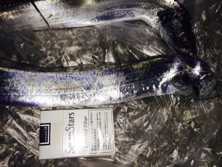 太刀魚釣れたー！