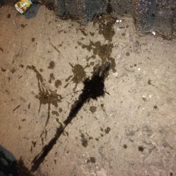 エギング2回目にして