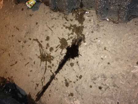 エギング2回目にして