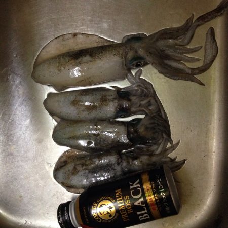 新子調査に行って来ました(#^.^#)