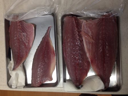 加太にショアジギ調査に行ってきました