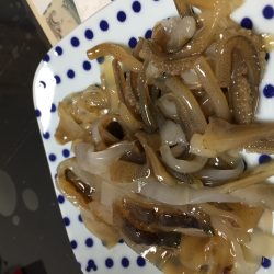 イカ釣りタイ。