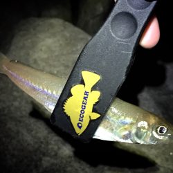 皆さん好調ですが…