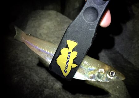 皆さん好調ですが…