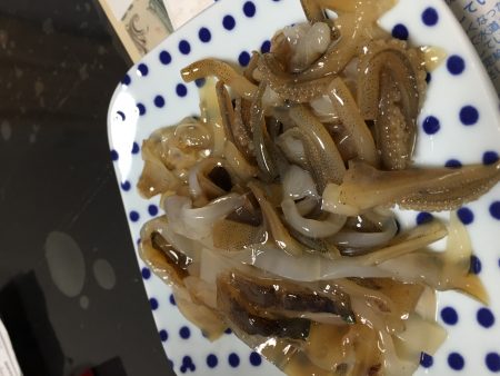 イカ釣りタイ。