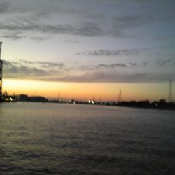 タケノコメバル